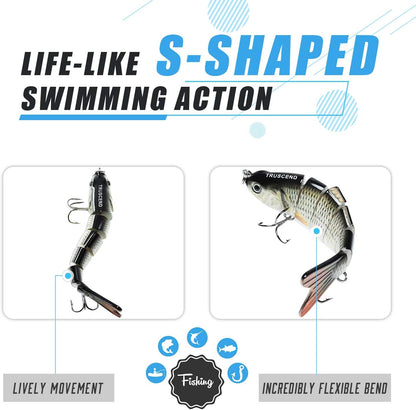 Realistic 6-Segment Fishing Lure Set