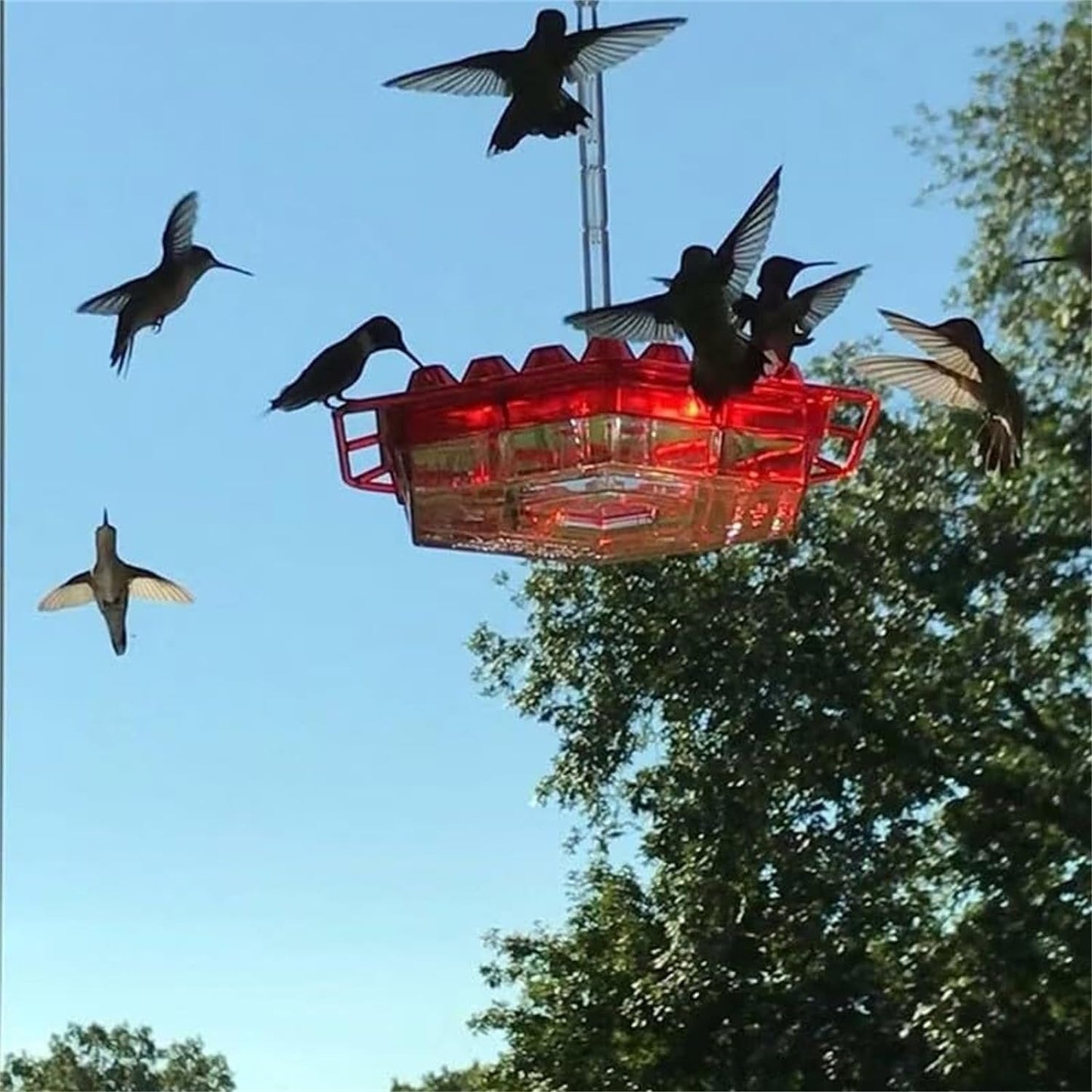 Colorful Outdoor Hanging Hummingbird Feeders