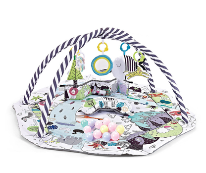Fun Baby Play Gym and Sensory Mat