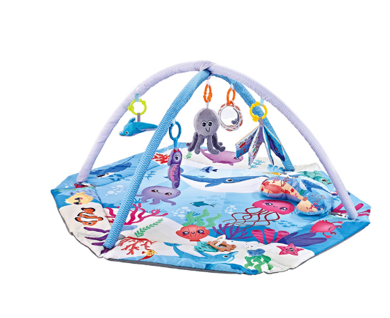 Fun Baby Play Gym and Sensory Mat
