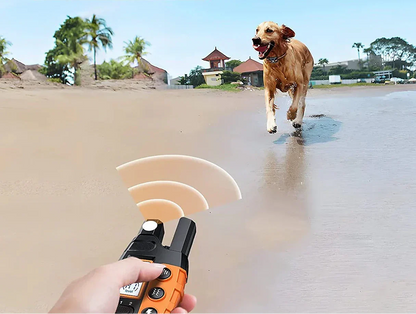 Long Range Waterproof Dog Training Collar
