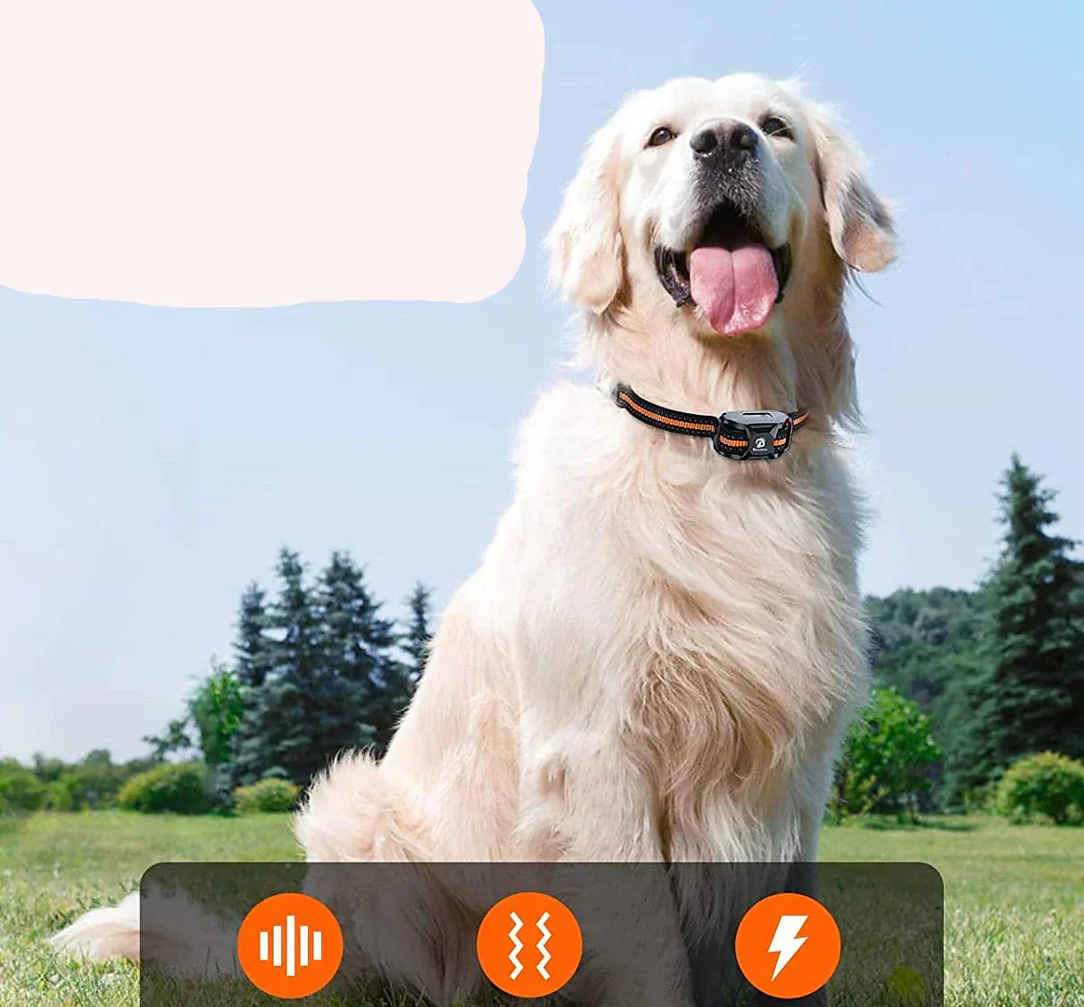 Long Range Waterproof Dog Training Collar