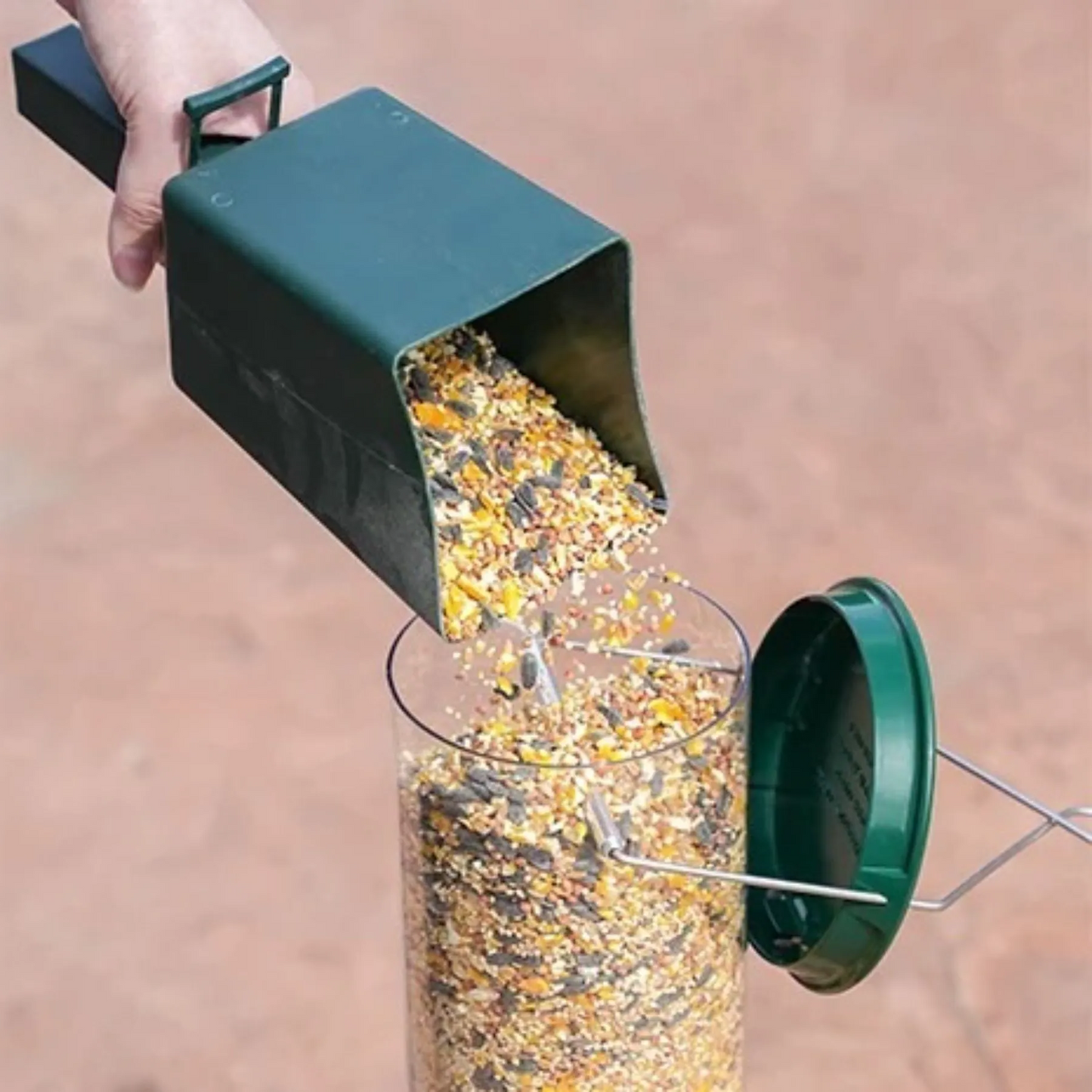 Wild Bird Feeder with Squirrel Deterrent System
