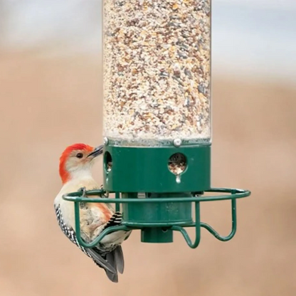 Wild Bird Feeder with Squirrel Deterrent System